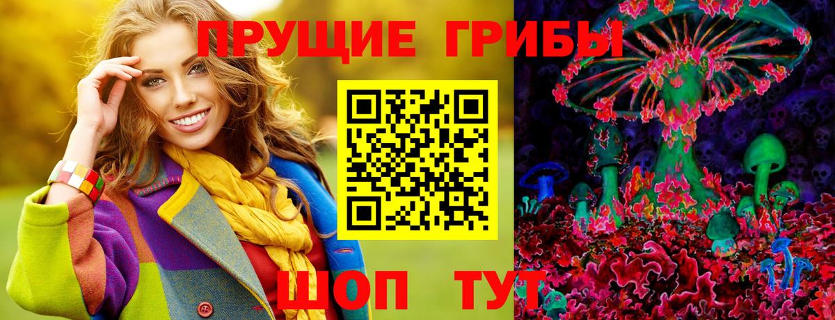 Псилоцибиновые грибы Cubensis  Псилоцибиновые грибы Cubensis  Вход с VPN  Коломна 
